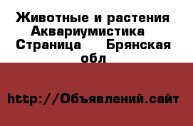 Животные и растения Аквариумистика - Страница 2 . Брянская обл.